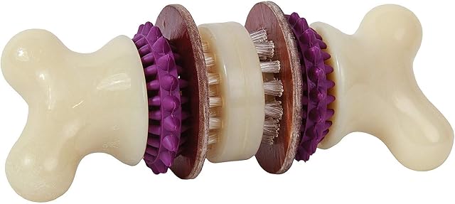 PetSafe Busy Buddy Bristle Bone Dog Chew Toy, M