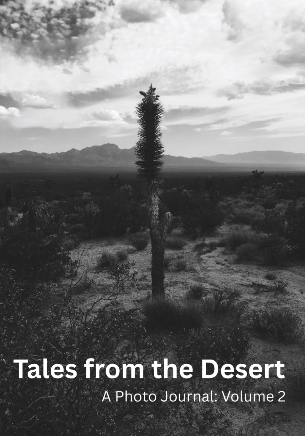 Tales from the Desert: A Photo Journal: Volume 2