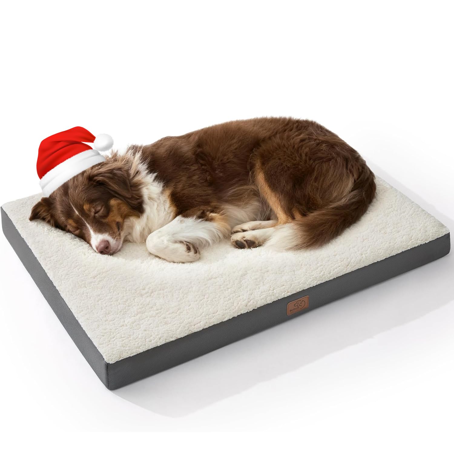 Locker.Ink | Elevate Your Pet's Comfort with These Orthopedic Dog Beds Bedsure Dog Bed (36 x 27 x 3)