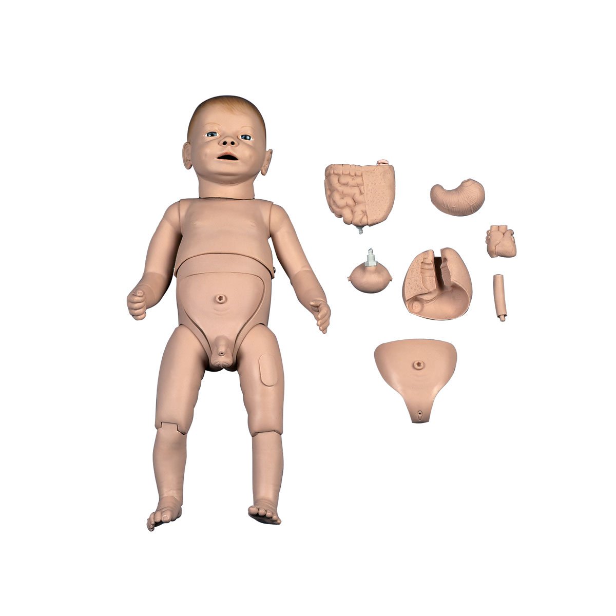 3B Scientific P30 Cura del Neonato