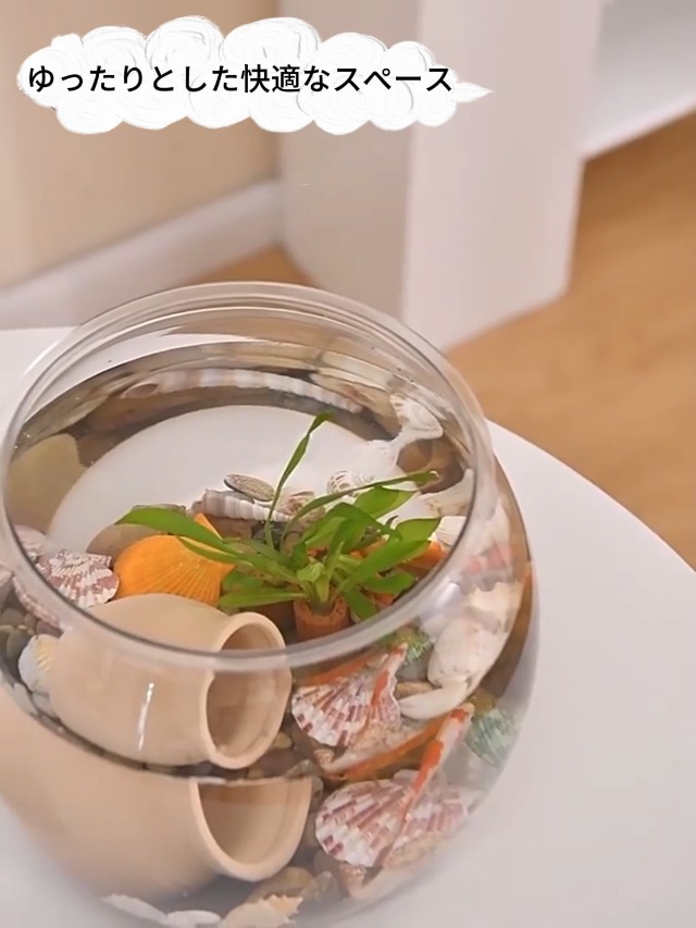 Amazon | Lov Sawar 金魚鉢 プラスチック 猫 にゃんこの金魚鉢 金魚