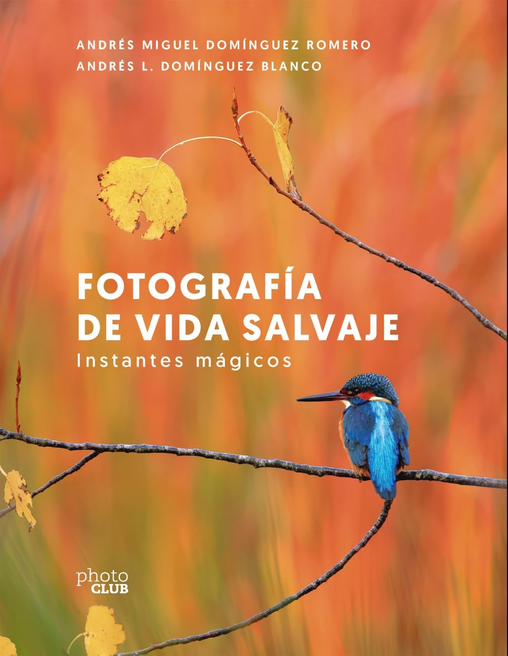 Fotografía de vida salvaje. Instantes mágicos (PHOTOCLUB)