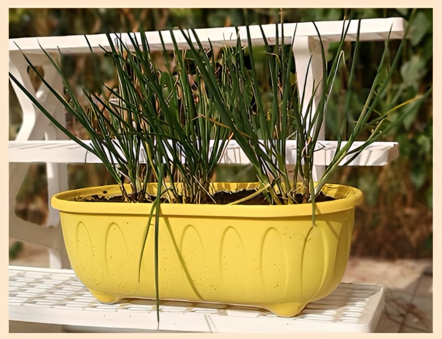 Image of Plastic Rectangle Round Corner Flower Pots with Drainage Hole Saucers Durable Outdoor Indoor Planters with Tray Plant Containers for Balcony, Garden, Home & Office (Yellow, 5)