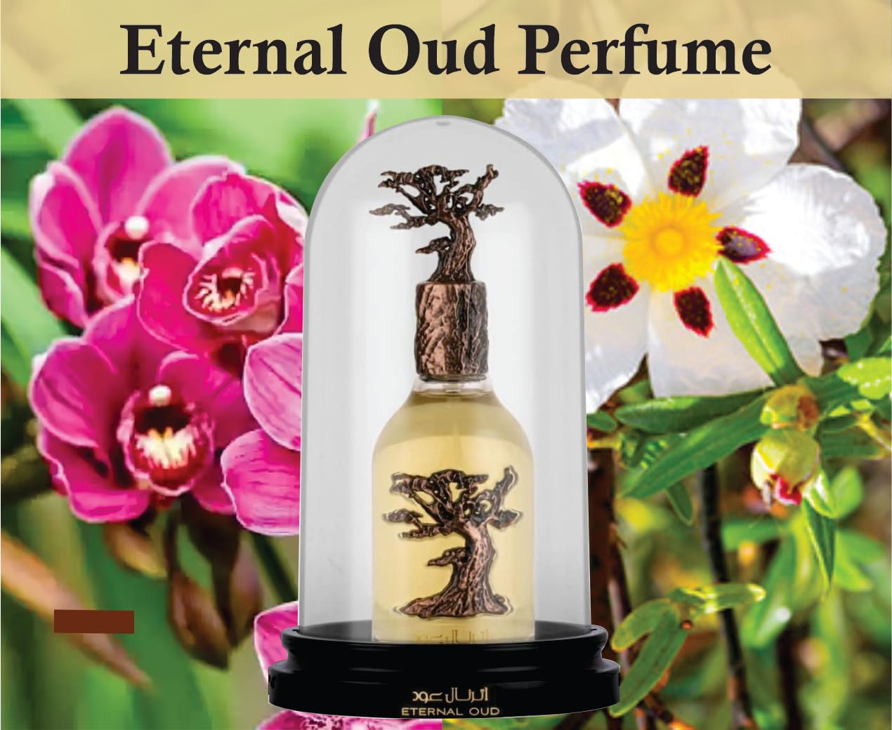 Sapphire's Choice Eternal Oud | Eau de Parfum Unisex 100 ml | Fragranza alla Vaniglia, Oud Arabo e Ambra