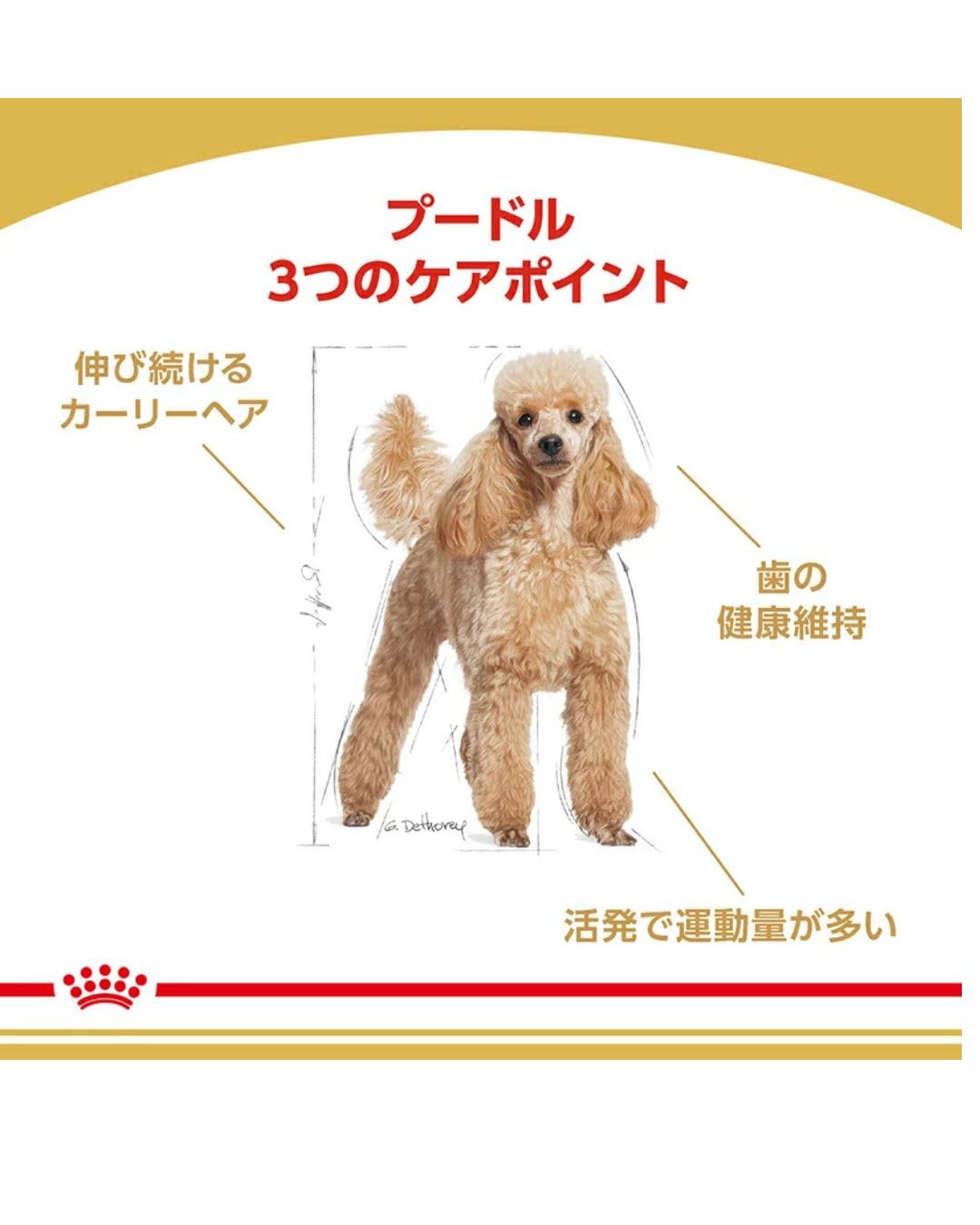 Amazon.co.jp: ロイヤルカナン プードル ドッグフード 成犬用