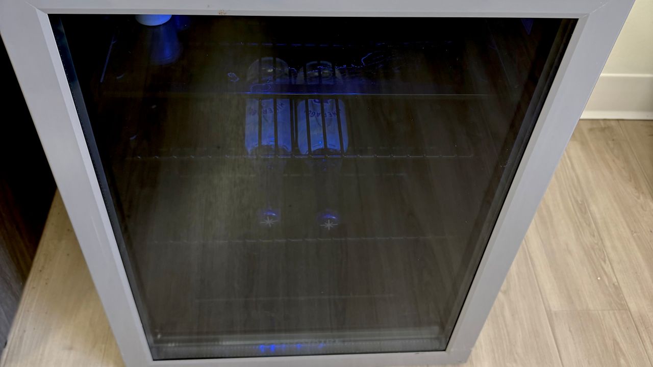 Up Close Review Stunning Fridgidaire Beverage Fridge