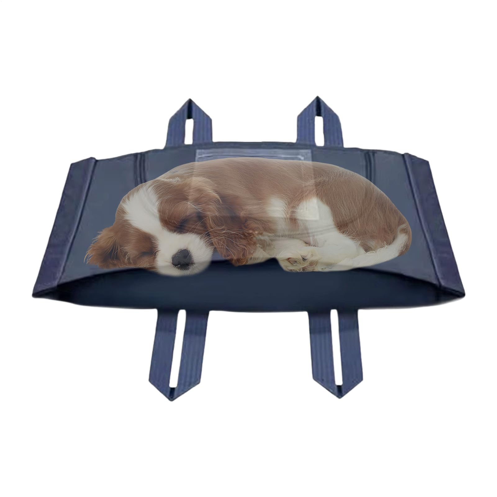 Sac Funéraire Écologique Biodégradable pour Animaux | Sac Funéraire Non Tissé Anti-Fuite | Sacs Souvenirs avec Photo, pour Chats, Chiens, Lapins Et Autres Services Funéraires