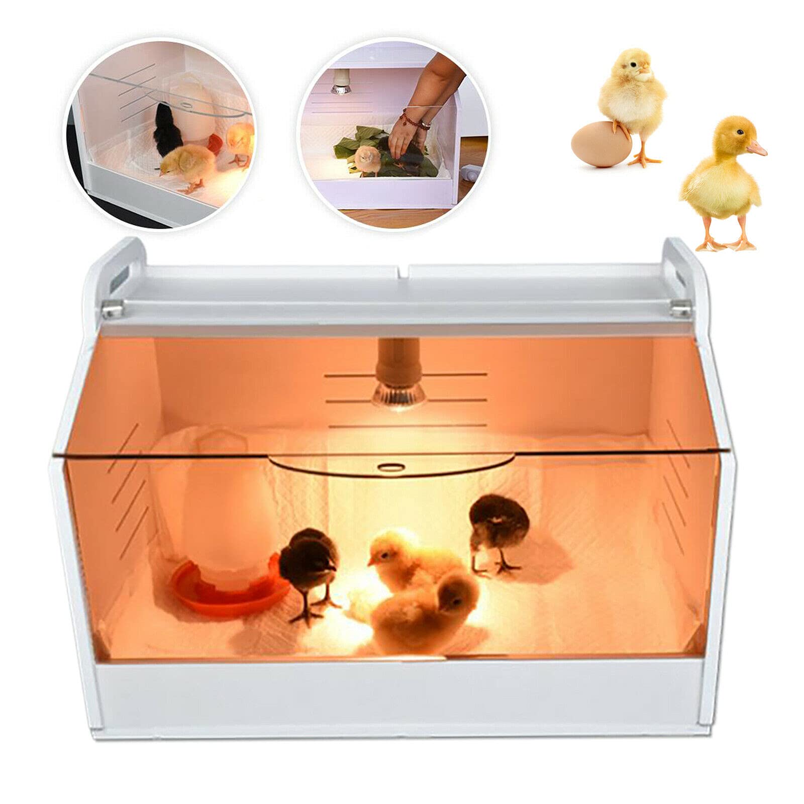Chick - Incubadora (48 X 30 X 30 Cm, Hoja Industrial De, 220 V, Luz Solar Bajo 75 W)