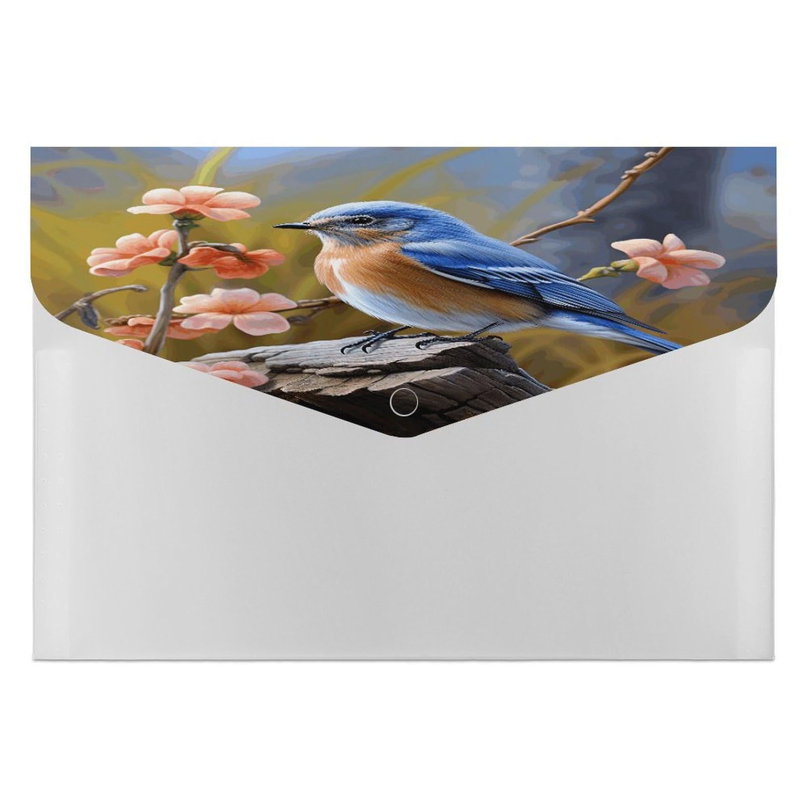 Amazon.com : Eastern Bluebird File Folder with Snap&6 Pockets