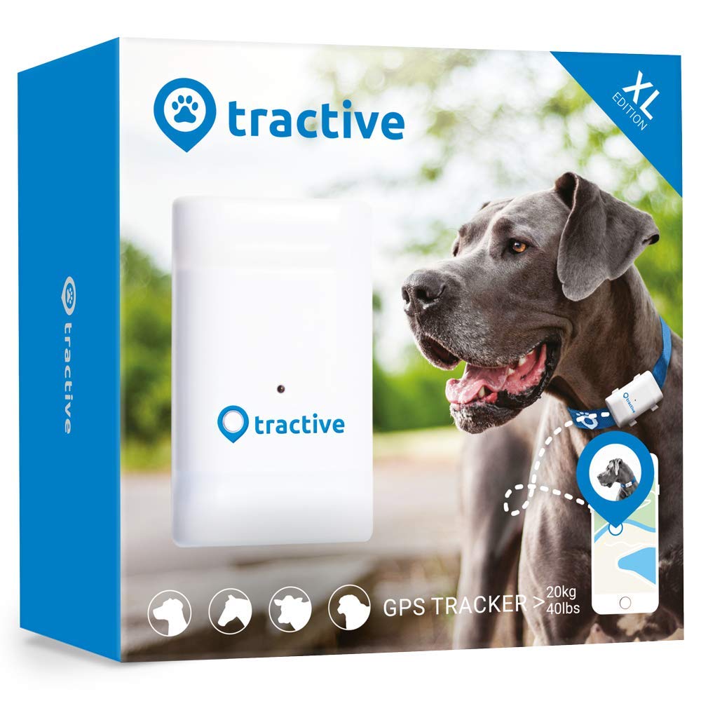 tractive gps dog
