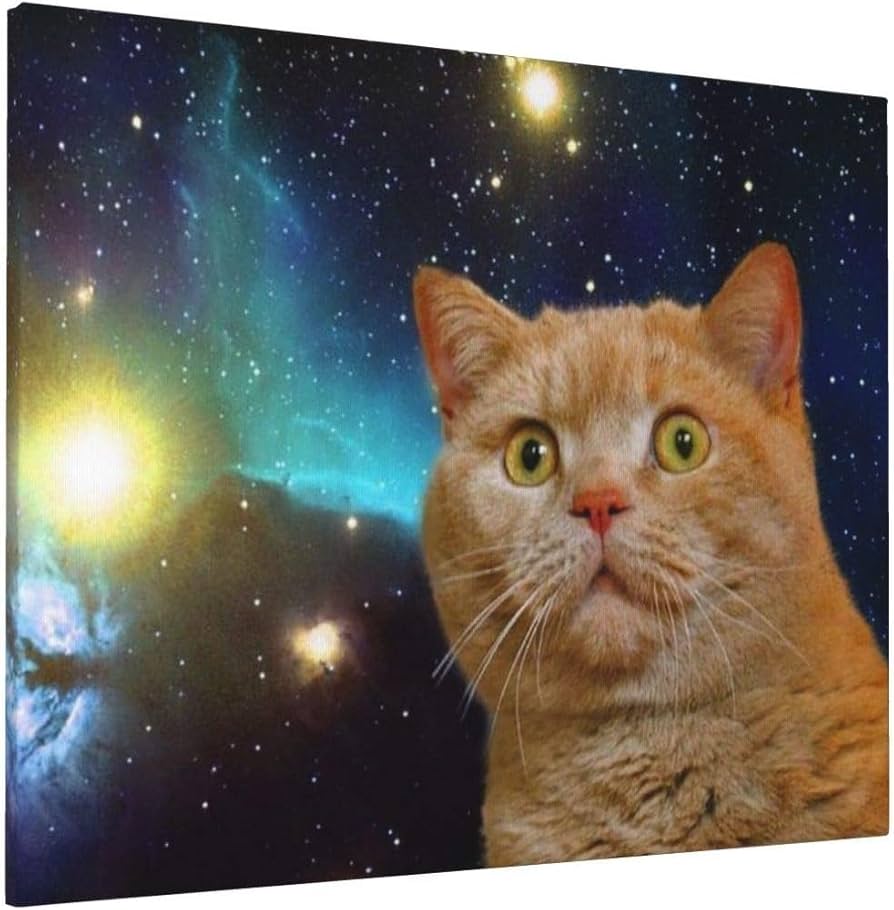 Amazon.co.jp: アートパネル ポスター 絵画 宇宙 猫 装飾画