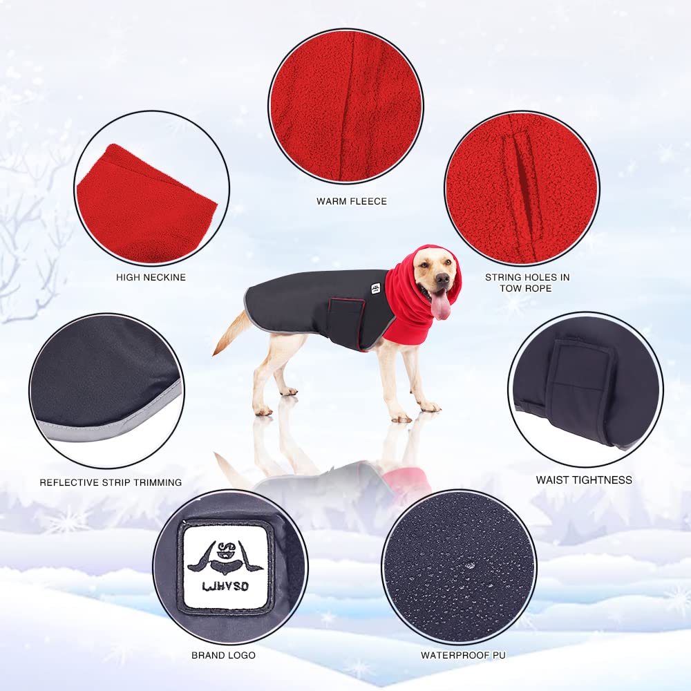 Winter Jacket Labrador, Winter Labrador Waterproof Coat, Labrador