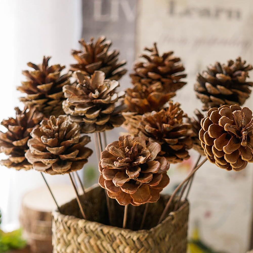 24 Stück 9-12cm Weihnachts Kiefernkegel,Pine Cones Dekoration Zapfen,Natürliche Tannenzapfen Kiefernzapfen für Adventskranz Tischdeko Christbaumschmuck Winterdekoration,Silber A