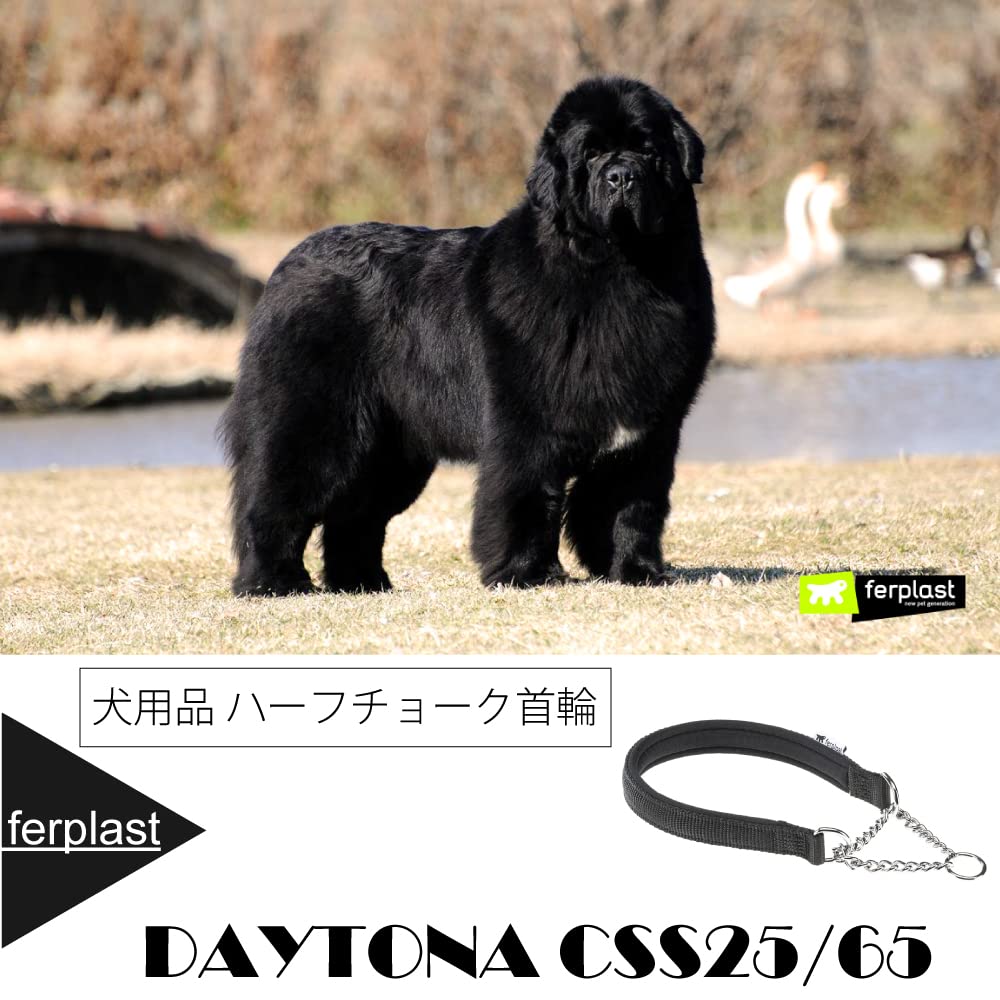 Ferplast Collare Cane Daytona, Collare per Cani Taglia Grande, Collare in Nylon 65 cm, Imbottito, Semistrozzo. Collare Addestramento. Nero