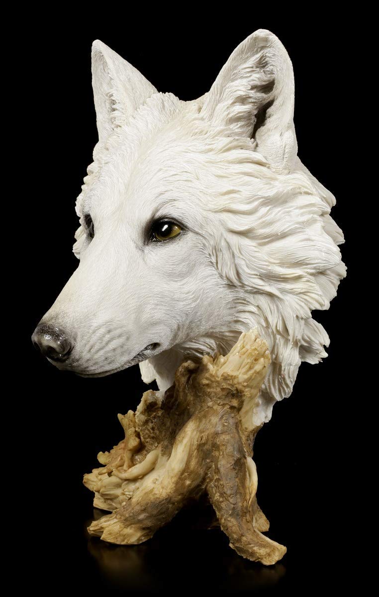 Figuren Shop GmbH Große weiße Wolfskopf Büste - Winterzeit | Tierstatue, Dekofigur, handbemalt, H 40 cm