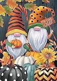 Fall Gnome Pumpkin Stamped Cross Stitch Kits - Counted Cross Stitch Kits for Beginners Adults,11 CT Patterns Dimensions Embroidery Kits Arts Craft Kits,for Thanksgiving Gift Home Decor 12 x 16inch