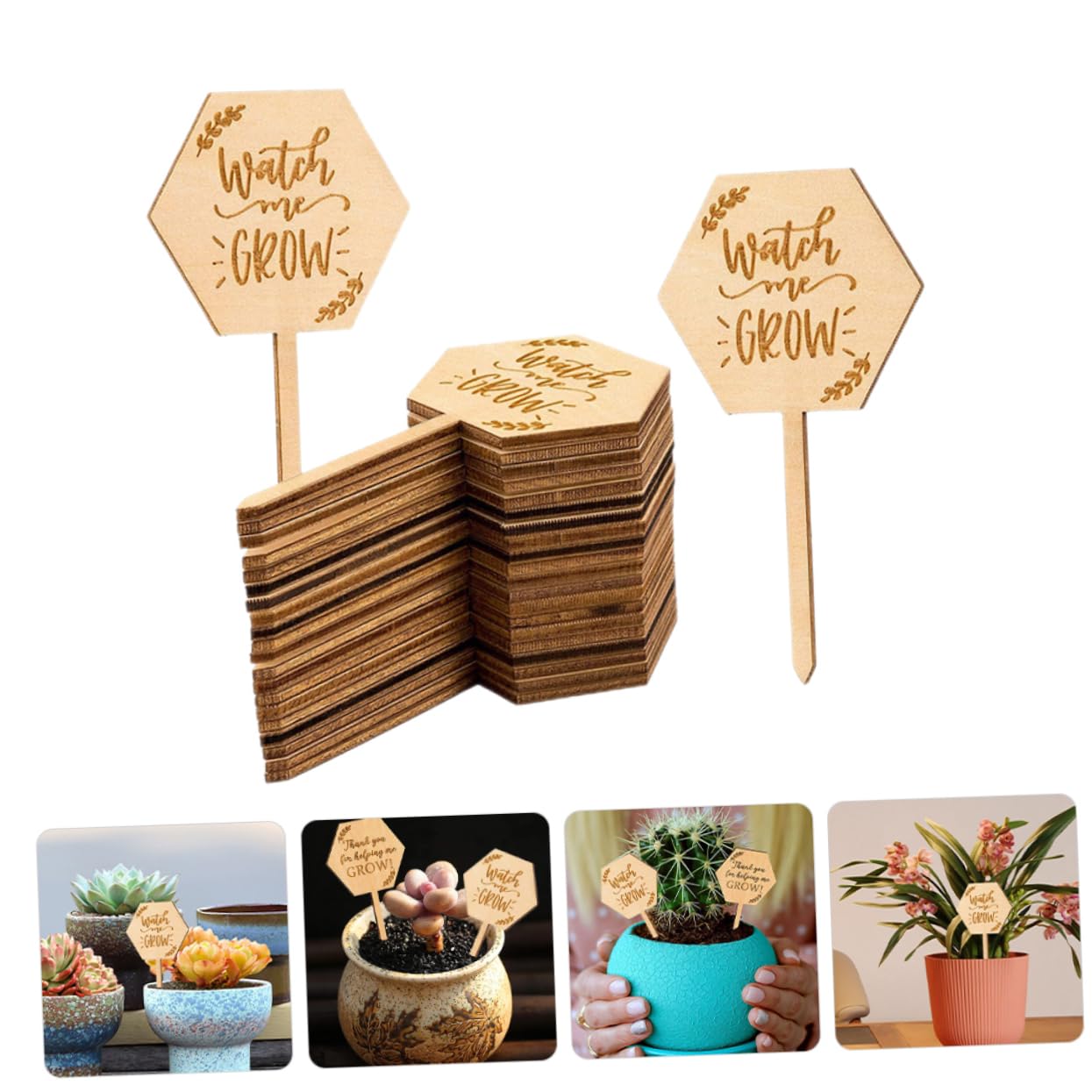 BESPORTBLE 4 Sätze Saftige Karte Pflanzenetiketten Für Pflanzenstützen Für Freilandpflanzen Holzbtiketts Pflanzenpflege Pflanzenmarkierungsetikett Kleines Pflanzenetikett 40 Stück * 4