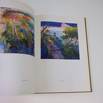 Amazon.co.jp: J.TORRENTS LLADOジョアキントレントリャド 画集