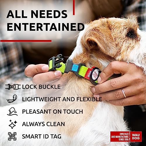 Collar impermeable WAUDOG ajustable con placa QR para perros miniatura 5