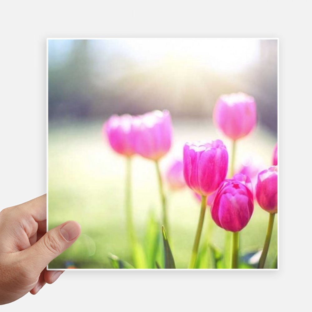 Autocollants fleurs soleil 20cm sticker valise pc moto décoration murale multicolore 4pcs