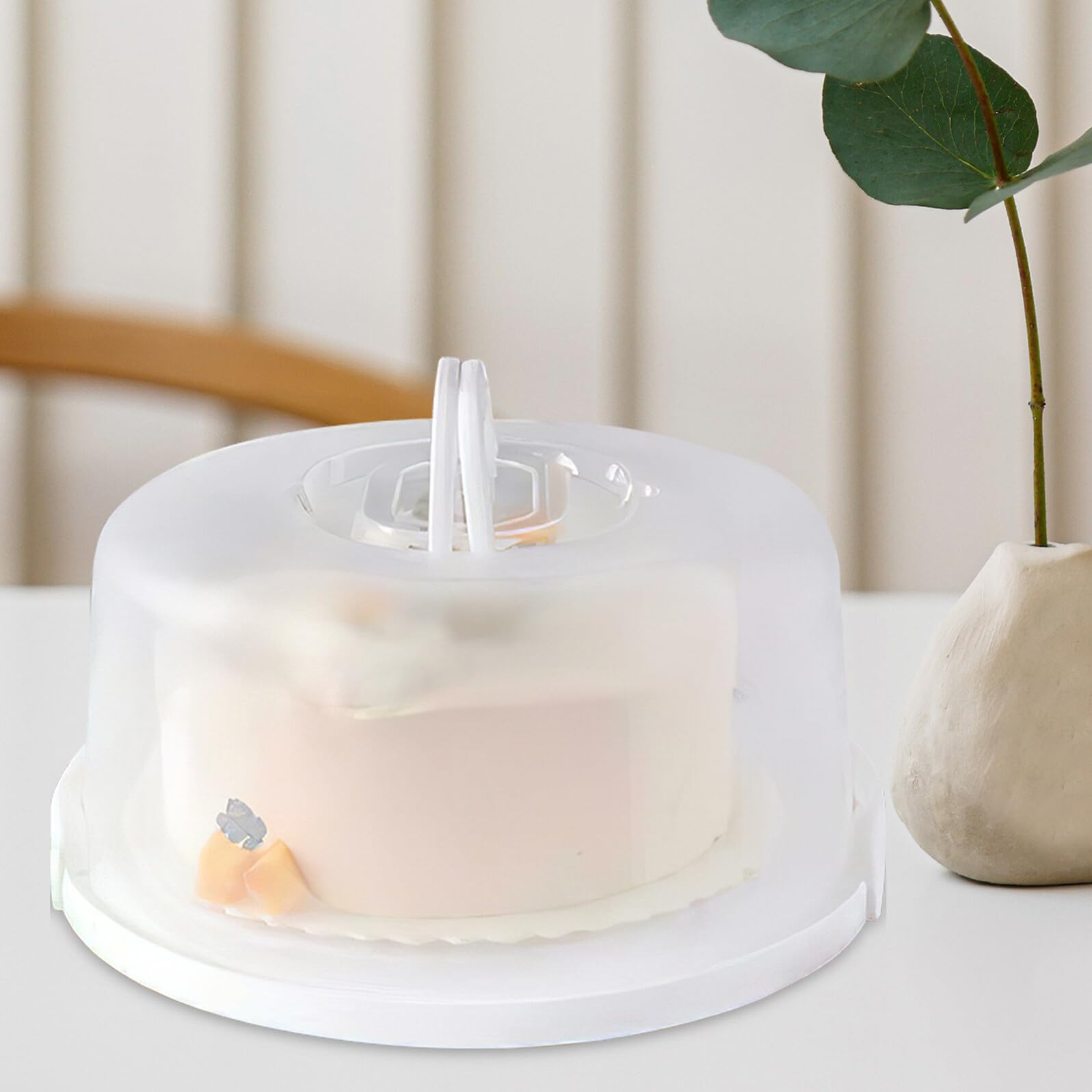 Ipetboom Scatola per Torta con Coperchio Trasparente Maniglie 10" in Pp 2pezzi per Picnic e Conservazione Dolci