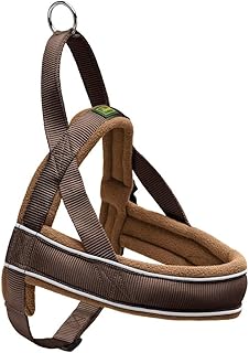 Hunter Racing Norwegian harness, S, 42-53 cm, brown / cognac product image