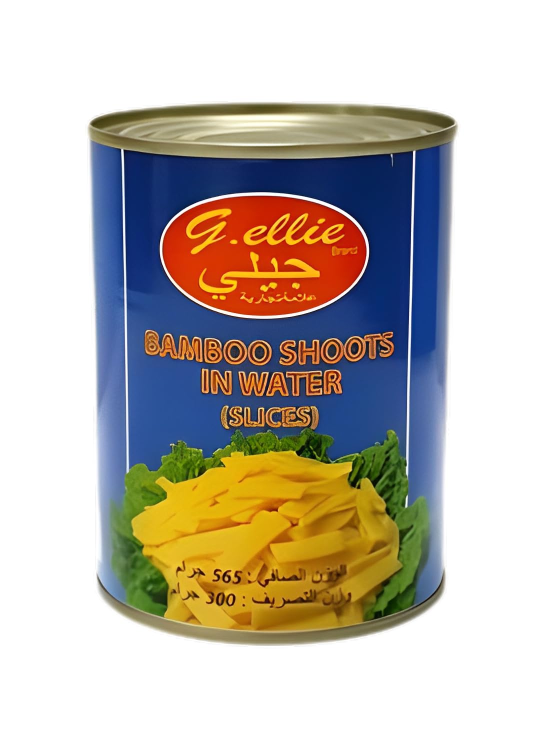 Canned Bamboo Shoot in Slices (2x545G)