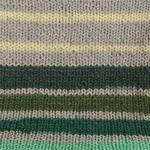 Image of Patons Kroy Socks Yarn - (1) Gauge - 1.75 oz - Landscape Landscape - For Crochet, Knitting & Crafting