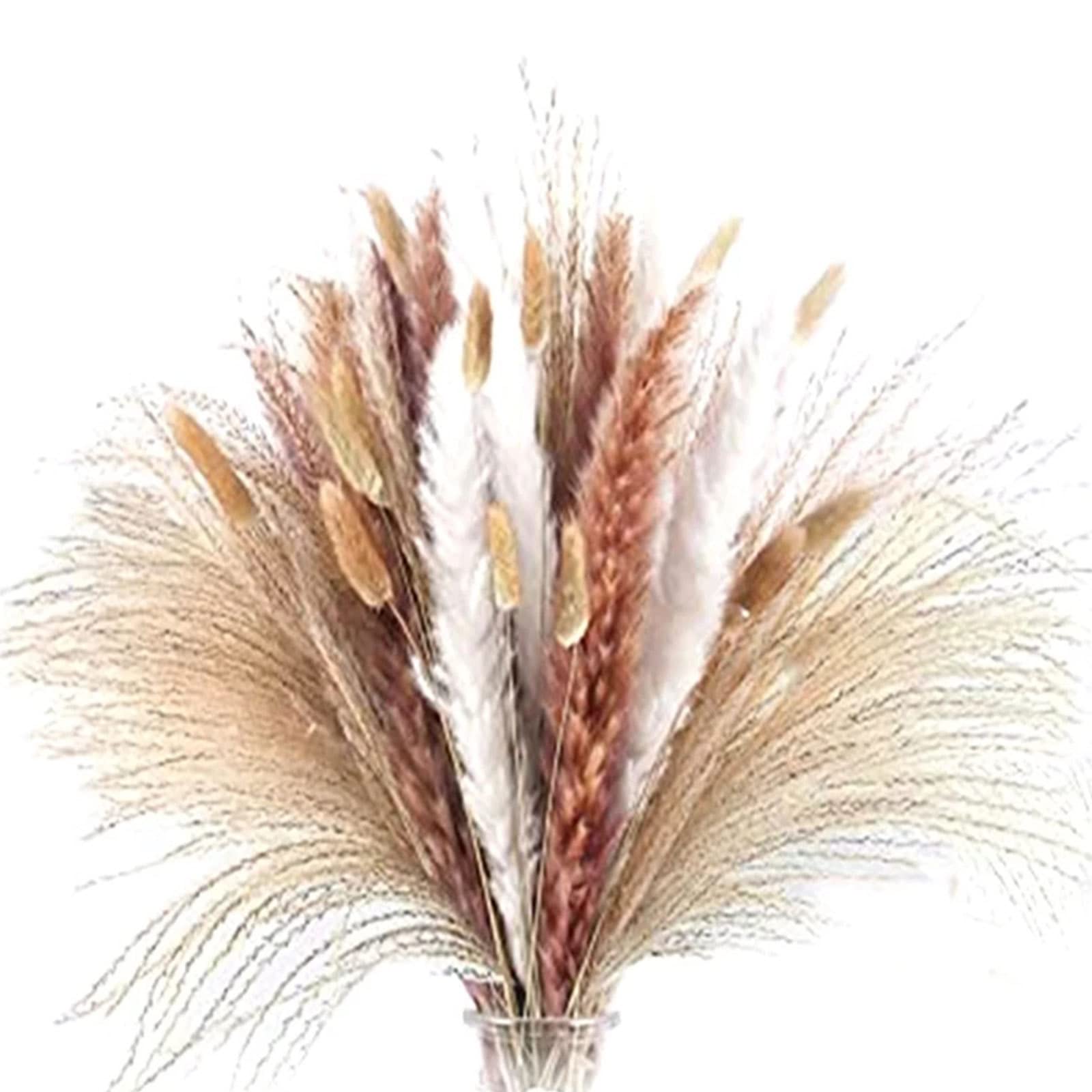 Decoración de Hierba de Pampa Natural de 80 Tallos – Colas de Conejo secas, Hierba de caña Beige para decoración del hogar, arreglos Florales, decoración Bohemia, 20 Pulgadas de Alto