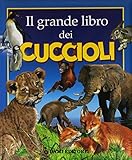 Dami Editore