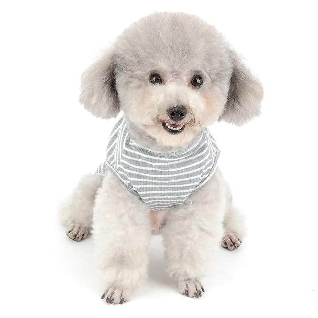 Foto 3 de 7 de SMALLLEE_LUCKY_STORE Ropa para Mascotas