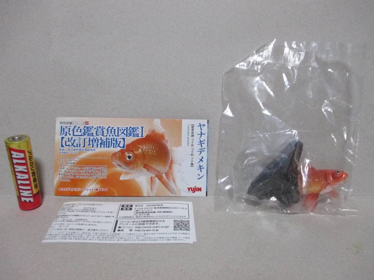 Amazon | 原色鑑賞魚図鑑 Ⅰ 1 改訂増補版 初版 ヤナギデメキン 柳出目 