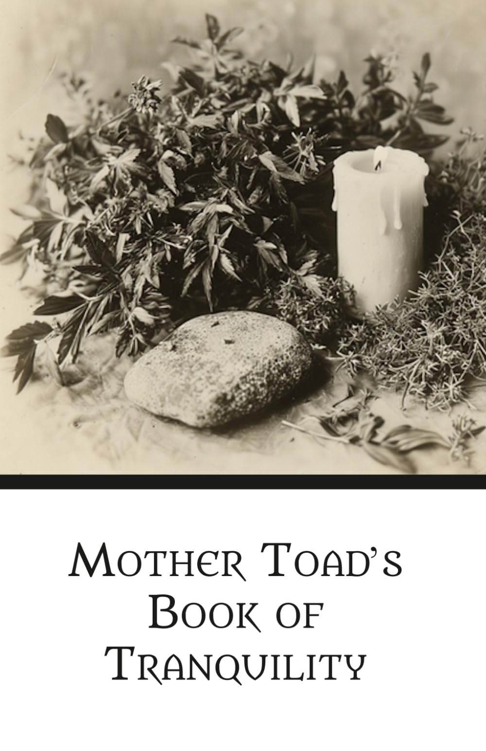 Mother Toad's Book of Tranquility