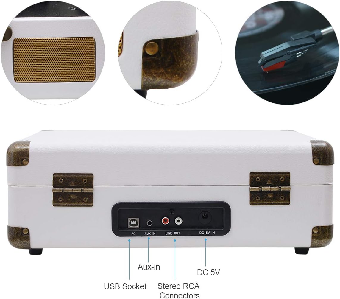 Traseira view of MUSITREND M316 turntable with labeled ports