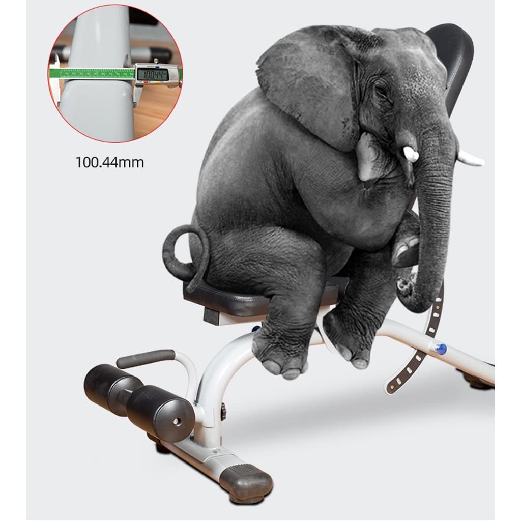 Chaise de Fitness Professionnelle réglable Banc de Presse Multifonctionnel pour la Maison et Le Commerce Banc de Musculation pour abdominaux et abdominaux