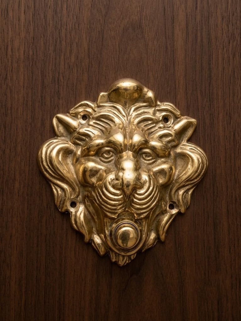 Campanello pulsantiera in ottone lucido esterno fissaggio a muro LEONE