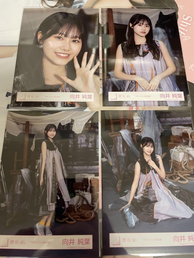 Amazon.co.jp: 櫻坂46 向井純葉 マモリビト MV衣装 生写真 コンプ