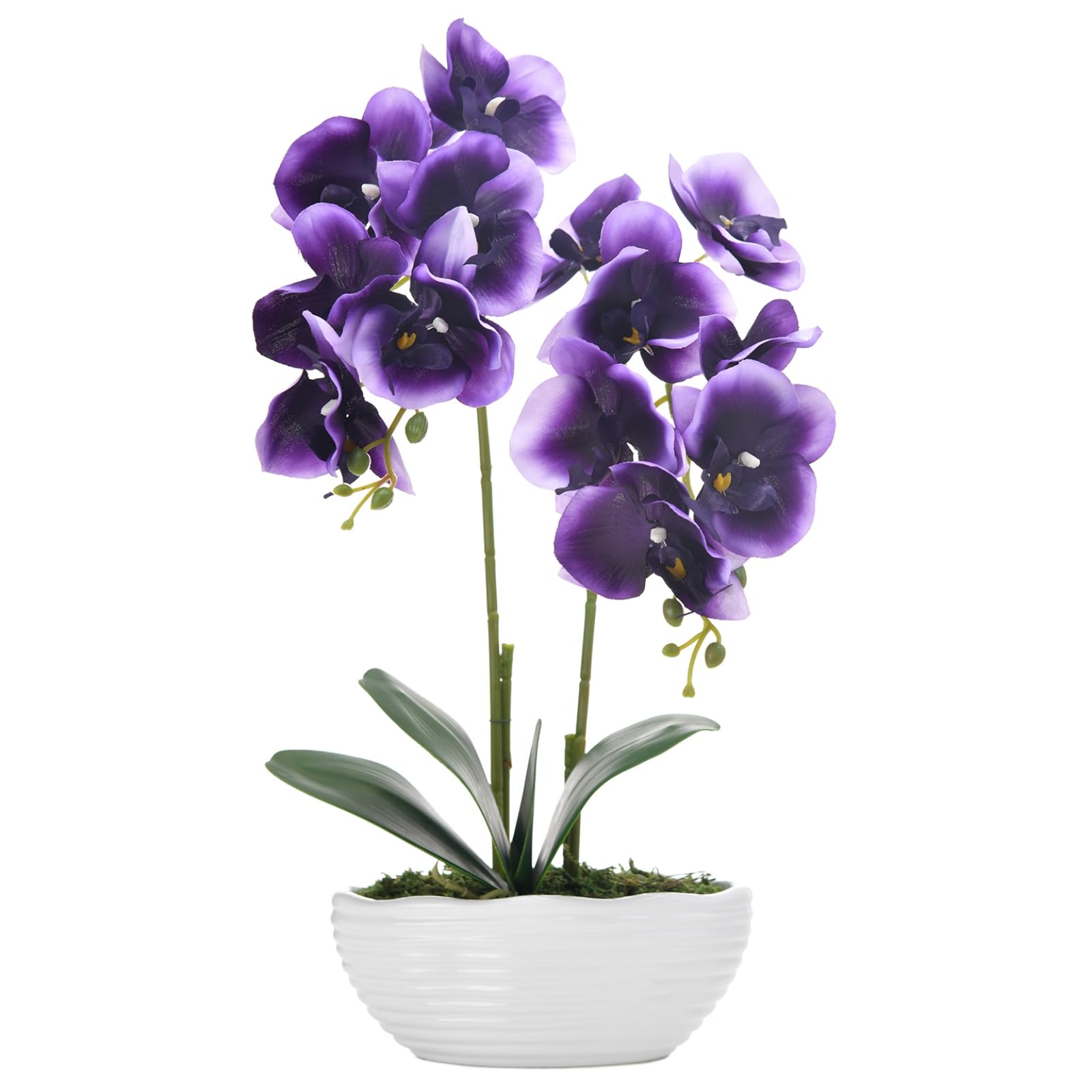 YSZL Large Artificial Potted Orchid Plant, Silk Flower Arrangement with Ceramics Vase, Deep Purple