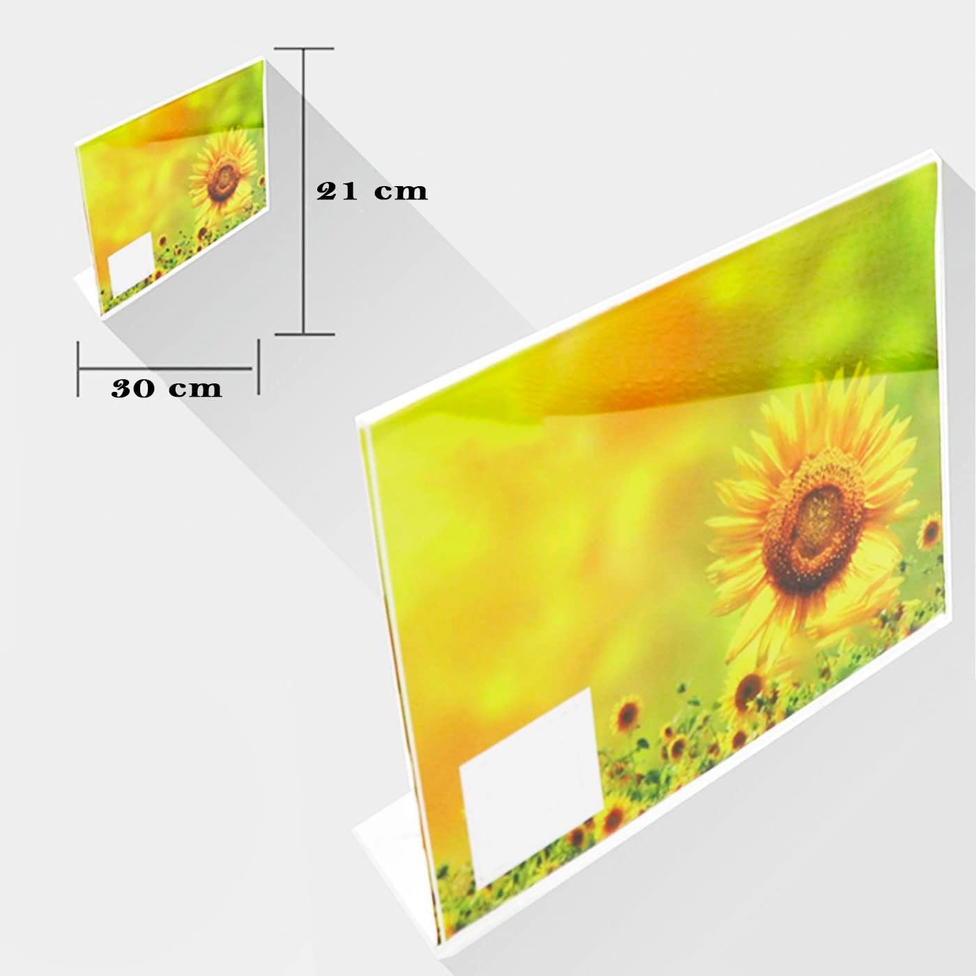 Acan Tradineur - Pack de 24 Portafotos de plástico Transparente, Marcos de Fotos de sobremesa, menú, Carteles, decoración, hogar (Horizontal - 21 x 30 cm)