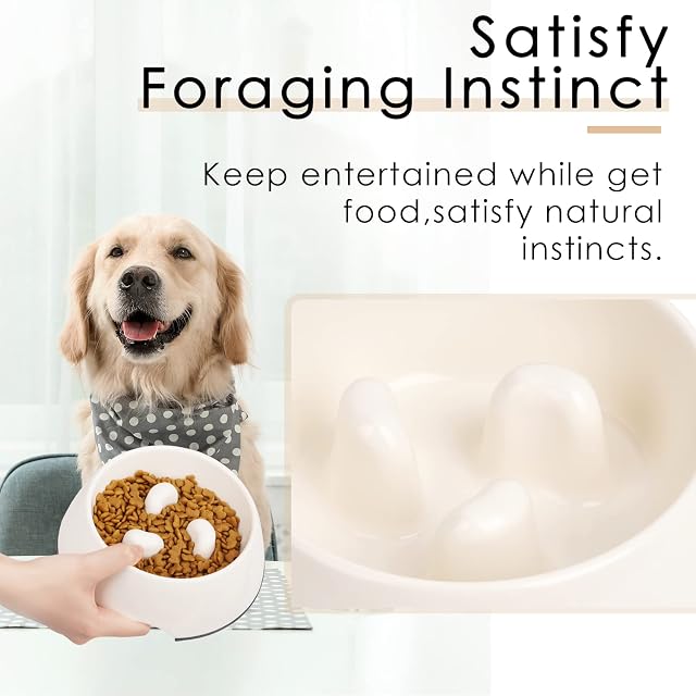 Foto 6 de 6 de SUPERDESIGN - Cuenco para Perros y Gatos, comedero Lento, para Hacer hábitos de alimentación Lenta…