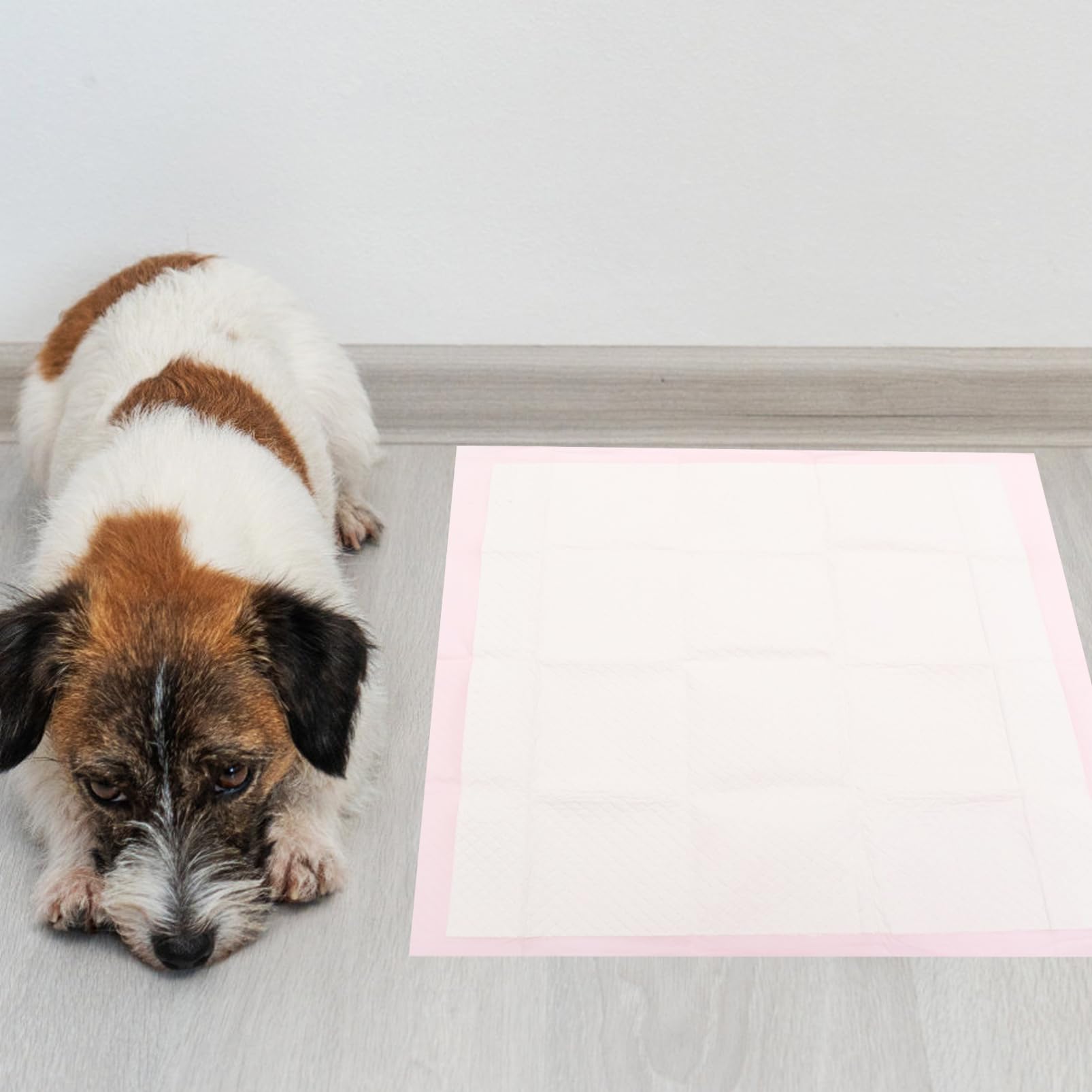 TOYANDONA 40 Piezas Empapadores Desechables para Perros y Gatos de Entrenamiento Absorbentes y Resistentes para Casa y Color Rosa para Cachorros y Mascotas Adultas