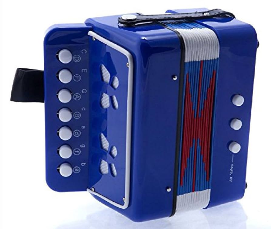 弦楽器 sky 61Jkfwi08VL._UF894,1000_QL80_.jpg