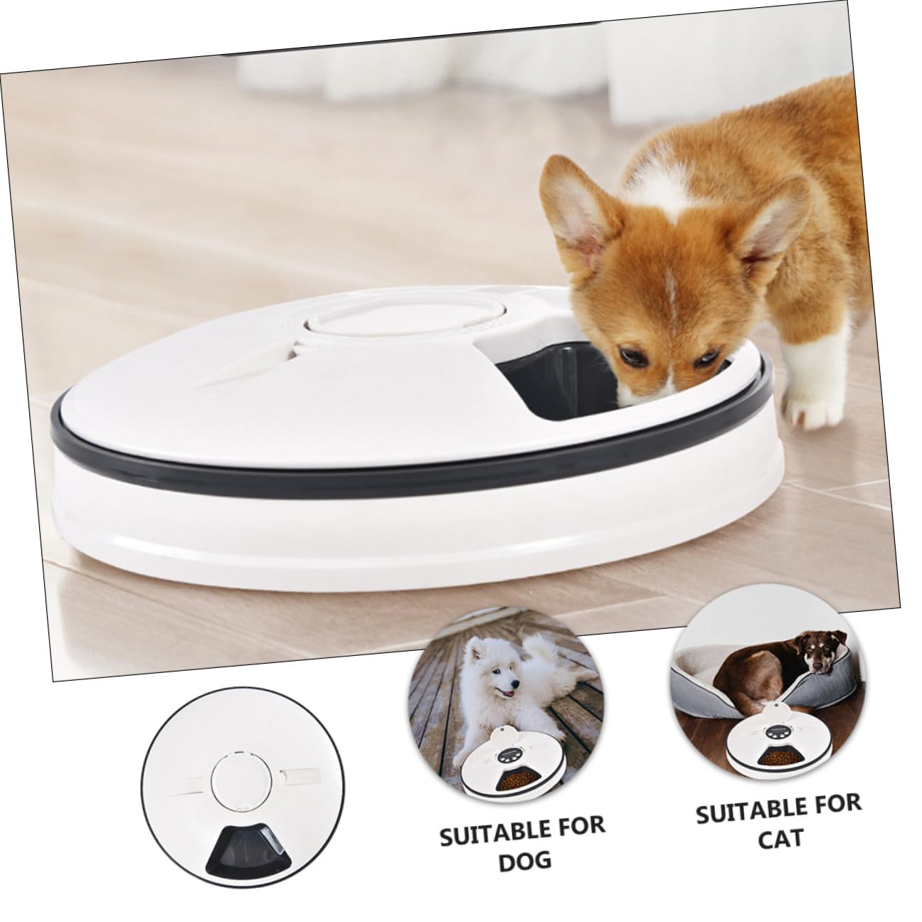 Levemolo Comedero Automático para Perros con Temporizador Tolva de Almacenamiento Desmontable Plato Resistente Antideslizante para Alimentación y Control de Porciones Diarias