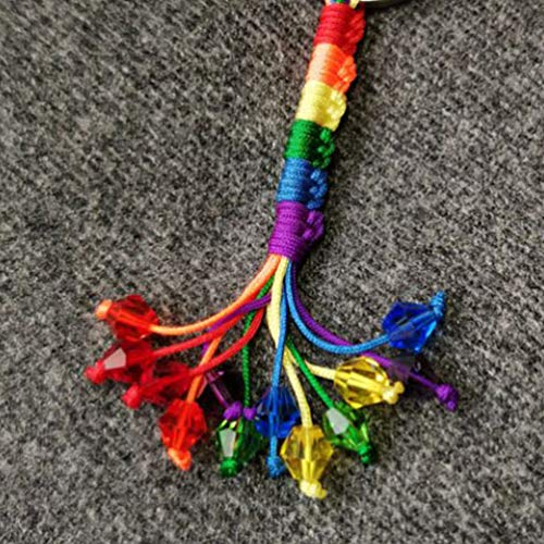 PRETYZOOM 2 Pcs Lgbt Porte-Clés Metalgay Fierté Porte-Clés Homosexuel Arc en Ciel Porte-Clés Porte-Clés Cadeau D'anniversaire pour Hommes Femmes - Image 7