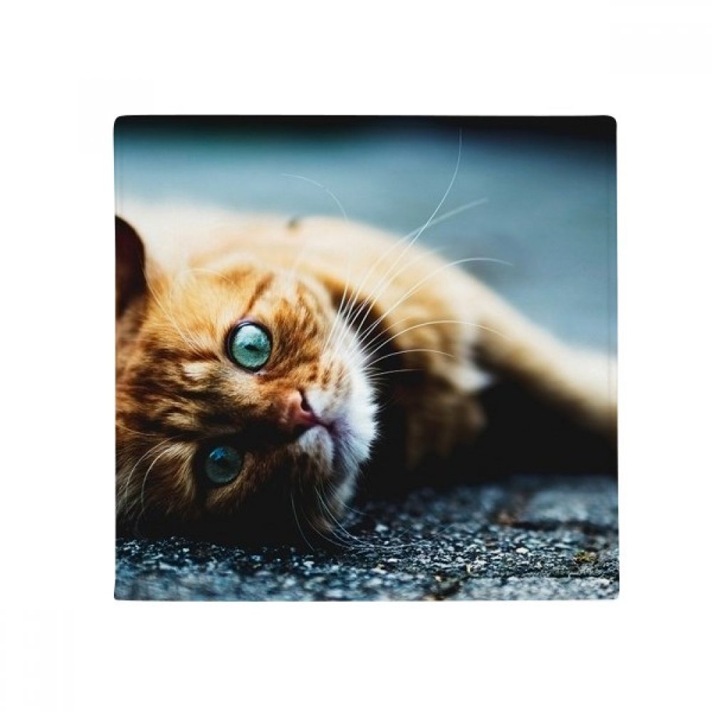 Tapis chat bleu cadeau original carré 50x50 cm en textile multicolore pour amoureux des animaux