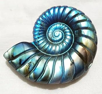 天然石ラブラドライト　アンモナイトのかたちパーツ　No.1258 天然石ラブラドライト アンモナイトのかたちパーツ No.1258