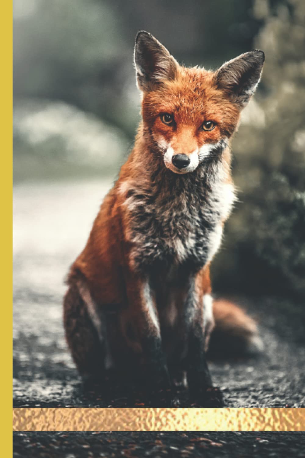 College Ruled Notebook: Fox, Aesthetic College Ruled (Medium Ruled) Composition Notebook, Cottagecore journal, 6x9in, 110pages