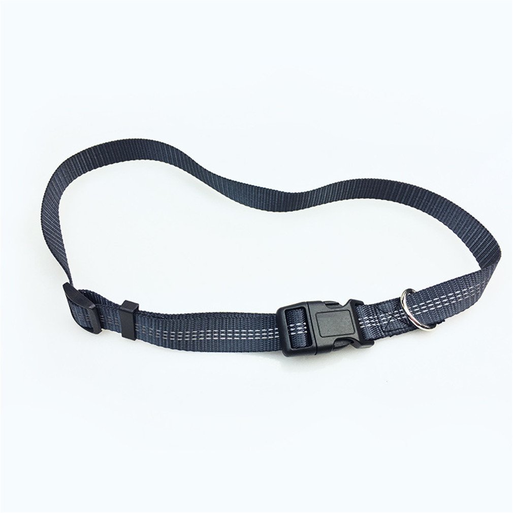 Peting Multi Function Hands Free Nylon Hundeleine mit reflektierenden Bungee Bundled mit Hund Abfall Dispenser und Taschen Perfekt für Laufen, Walking, Training