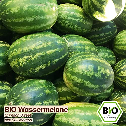 Samenliebe BIO Wassermelonen Samen alte Sorte Crimson Sweet süße Melone rund rot 10 Samen samenfestes Gemüse Saatgut für Gewächshaus Freiland und Balkon BIO Gemüsesamen - Image 3