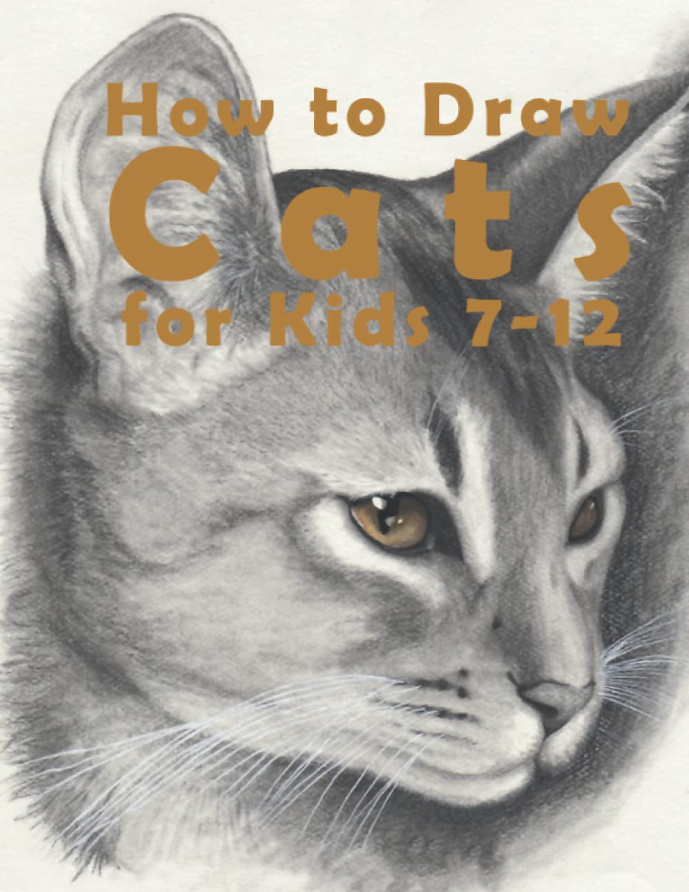 Buy How To Draw Cats For Kids 7 12 How To Draw Cats Easy Learn To